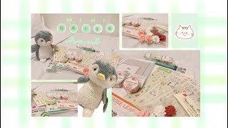 a mini wellington daiso haul