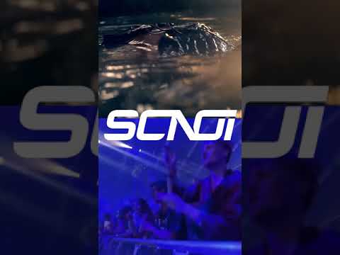 Rihanna & Benny Benassi - Where Have You Been? / Satisfaction (DJ Scnoi Mash-Up) | #shorts