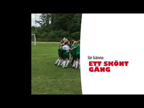 Provträna hos Hammarby F03-UTV V.42 2016