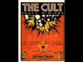 the cult bad fun (peace version)