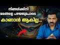 മരങ്ങൾ പരസ്പരം സംസാരിക്കാറുണ്ടെന്ന�