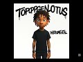 Topoppgen Lotus Instrumental Type Beat