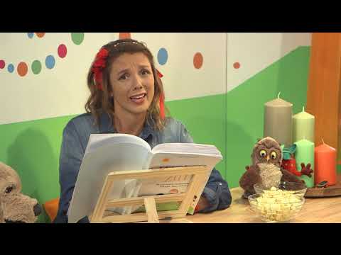 Besser als gedacht | Kiki, Timo, Gott & Du | Kinderandachten | Folge 257