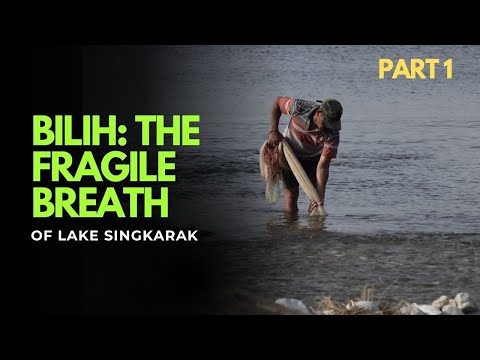 BIlih : The Fragile Breath of Lake Singkarak | Part 1