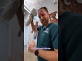 HOW TO FIX YOUR NECK HUMP