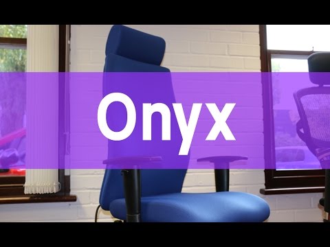 Onyx 24 Hour Fabric Posture Office Chair with Headrest