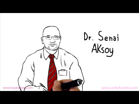 Tüp Bebek Tedavisinin Aşamaları