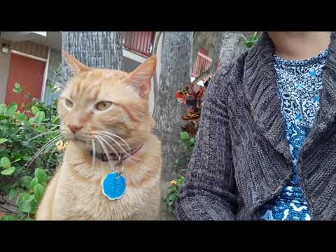 Marley Says Hi to Daddy