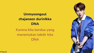 Download lagu Lirik BTS - DNA dan Terjemahannya mp3