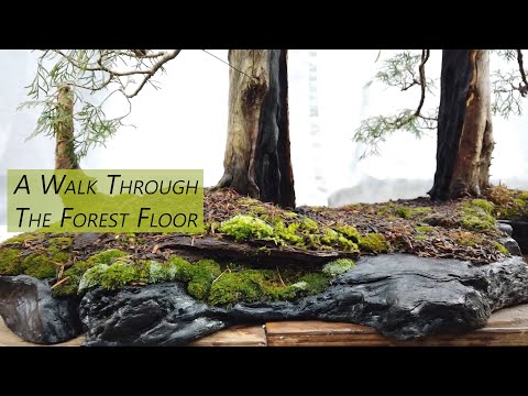 Lighting Strikes Trees