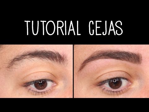 Tutorial Para Aprender A Perfilar y Definir Tus Cejas