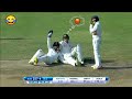 Top 7 Funniest Appeal In Cricket Ever Bizzare Appeal For A Wicket