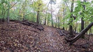 Devil's Backbone and Fall Creek - Warriors Path State Park - October 19, 2025 - GoPro MAX2