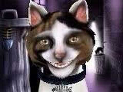 Katz got yer tongue?