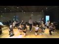 PSY - DADDY Dance practice mirror