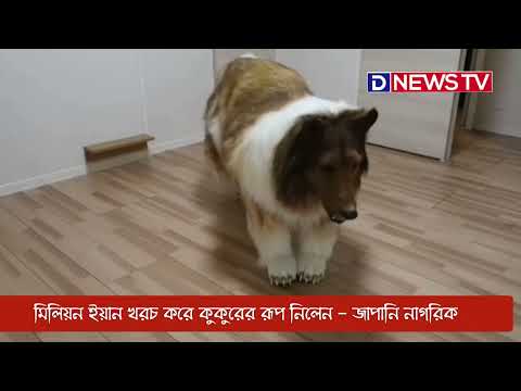 জাপানি নাগরিক ২ মিলিয়ন খরচ করে কুকুর হলেন ।