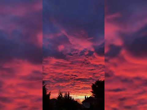 Anek Ft. Mlody Rzepa- Życie nie jest łatwe///Vansipl