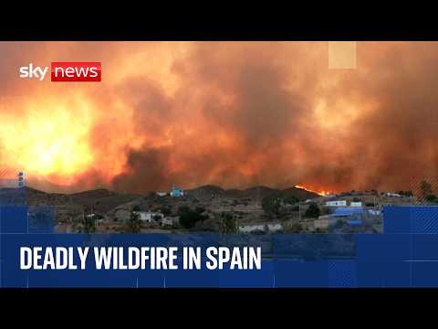 12 dead as wildfire sweeps across southern Spain