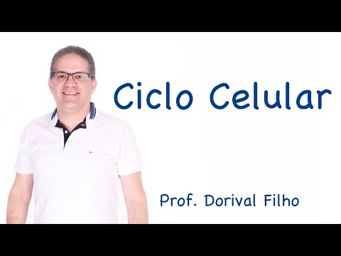 Ciclo Celular