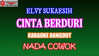 Download lagu KARAOKE DANGDUT CINTA BERDURI - ELVY SUKAESIH (COVER) NADA COWOK Eminor mp3