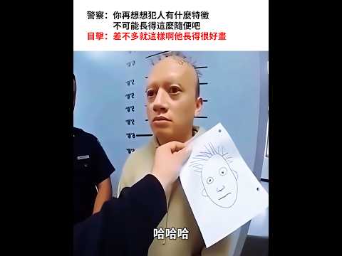 嫌犯長得很好畫