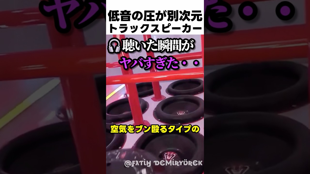 低音の圧が別次元すぎるトラックスピーカー