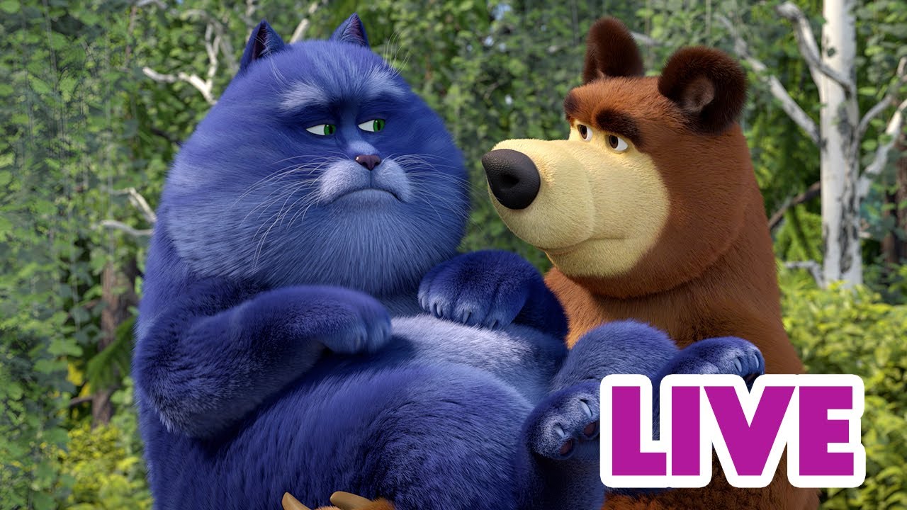 ماشا والدب 🐻👱‍♀️ LIVE STREAM! 🎬 مجموعة المغامرة النهائية 🚴‍♂️🏞️