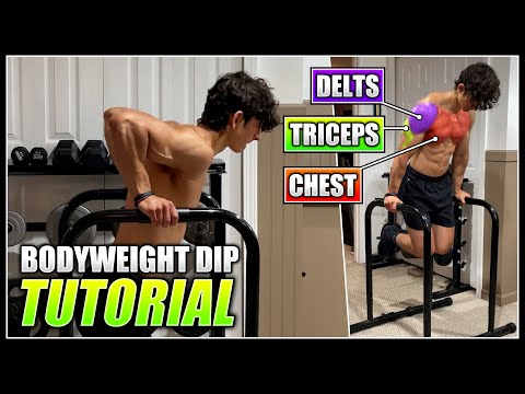 How to do the BODYWEIGHT DIP! | 2 Minute Tutorial