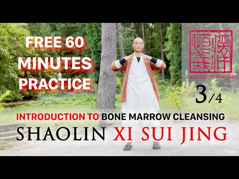 Introduction to Xi Sui Jing (3/4) 💮 DAILY 60 Minute Practice 💮