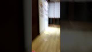 極楽湯❗(後半）