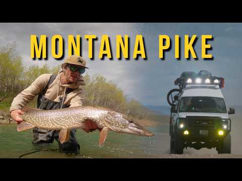 NORTHBOUND | A Van Life Journey to Fly Fish for Northern Pike