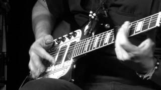 Roll Your Money Maker - Guy Verlinde Plays Hound Dog Taylor