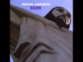Vinicius Cantuaria: India