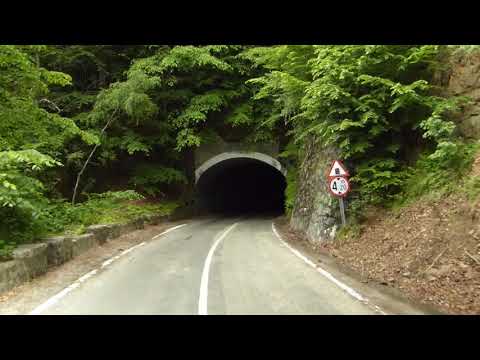 Arefu 2020 (with FeiyuTech AK2000S)