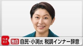 ⚡📉 小渕優子氏が辞任決意！？自民党税調に広がる波紋🏛️🔥
