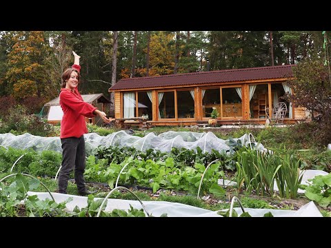 Building a passive solar strawbale cabin | 1,5 years in 14 minutes