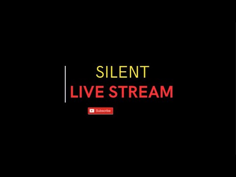 Silent Live Stream 4