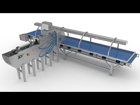 TASARGEM KF3500 Meyve Dilimleme Makinesi 3D Tanıtım Animasyonu