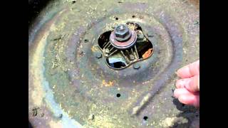 Why Not To Mow Wet Grass!