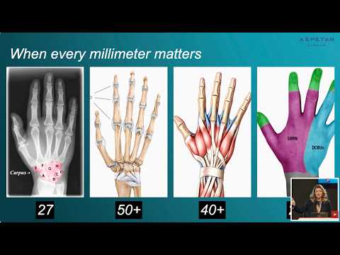 Anatomie & Behandlungswissen Videos – Interaktives Nachschlagewerk für Physio, Massage, Therapie 59 Surgical Perspectives on Athlete’s Hand and Wrist Injuries When Every Millimeter Matters