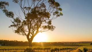 Jon Hopkins - Abandon Window