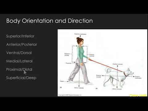 BI207 - Lab 1 - Intro to A&P