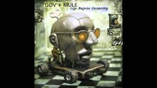 GOV'T MULE  No Need to Suffer (Life Before Insanity)