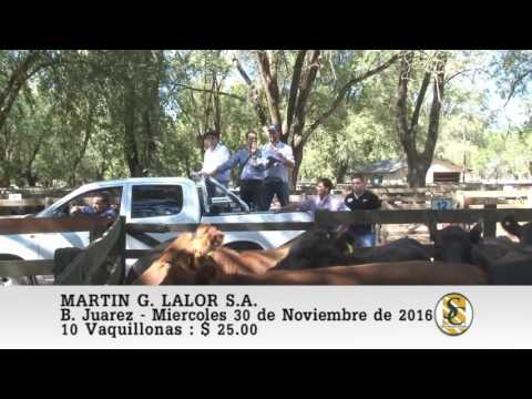 30-11-16 Venta de Gordo - Martin G. Lalor S.A. - B. Juarez.