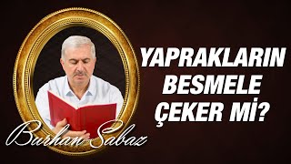 Dr. Burhan SABAZ(Kısa) - Yaprakların ayet okudugunu biliyor muydunuz?