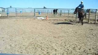 Wapi - 4 y/o BLM Mustang - For Sale $700