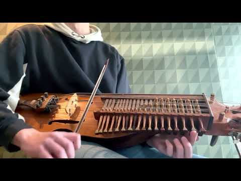 Bisonpolska on Nyckelharpa