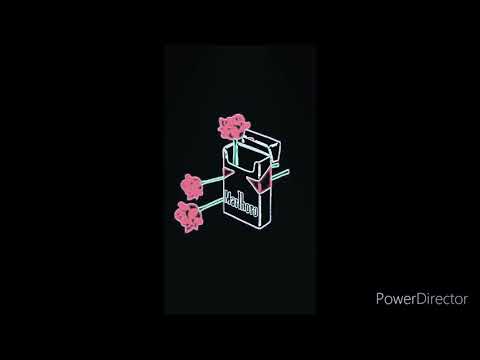 J’ai Le Seum   ( Audio )