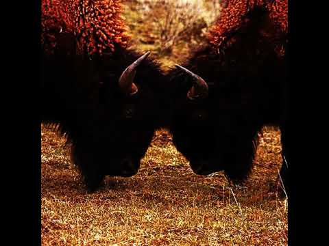 Lofty305 x Denzel Curry - Orange Peel