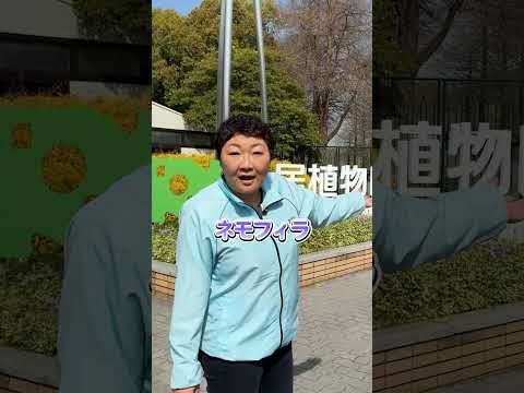 国際・英語学科 今日は長居公園の中にある 「長居植物園」 にやってきました😊ここでは季節ごとにいろんな花が咲き誇っていて、訪れるたびに違う景色を楽しめます。 #ふっちー #長居植物園